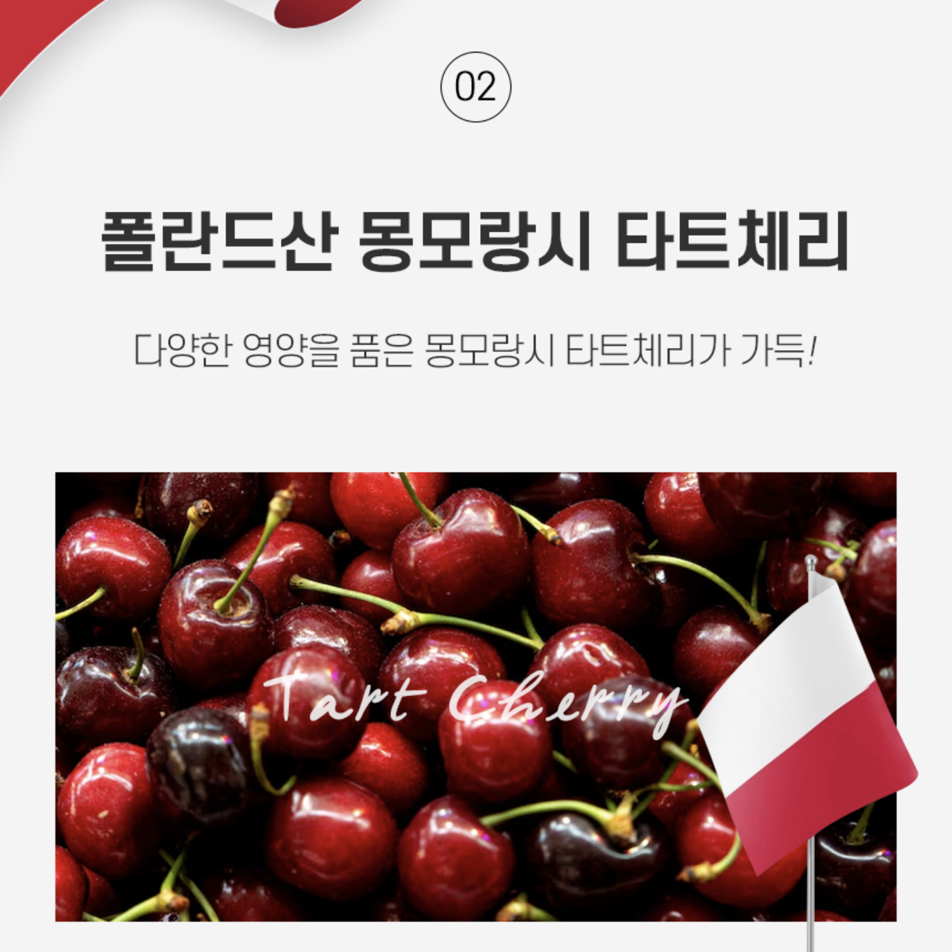 트립토판 식물성메라토닌 3MG 타트체리 멜라토닌 30g - 상세 이미지 3