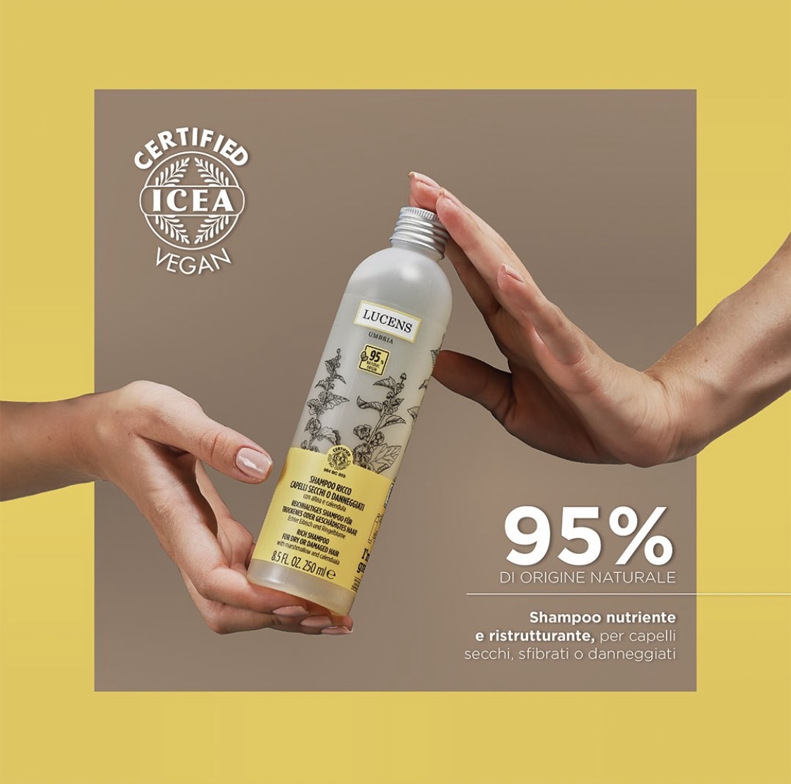 루센스 데미지리치 손상건조샴푸 500+250ml /이태리 천연 유기농 비건샴푸 - 상세 이미지 5