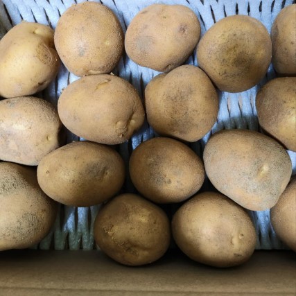 국내산 강원도 수미햇감자 2kg 3kg 5kg 10kg 영양만점 아침대용 - 상세 이미지 4