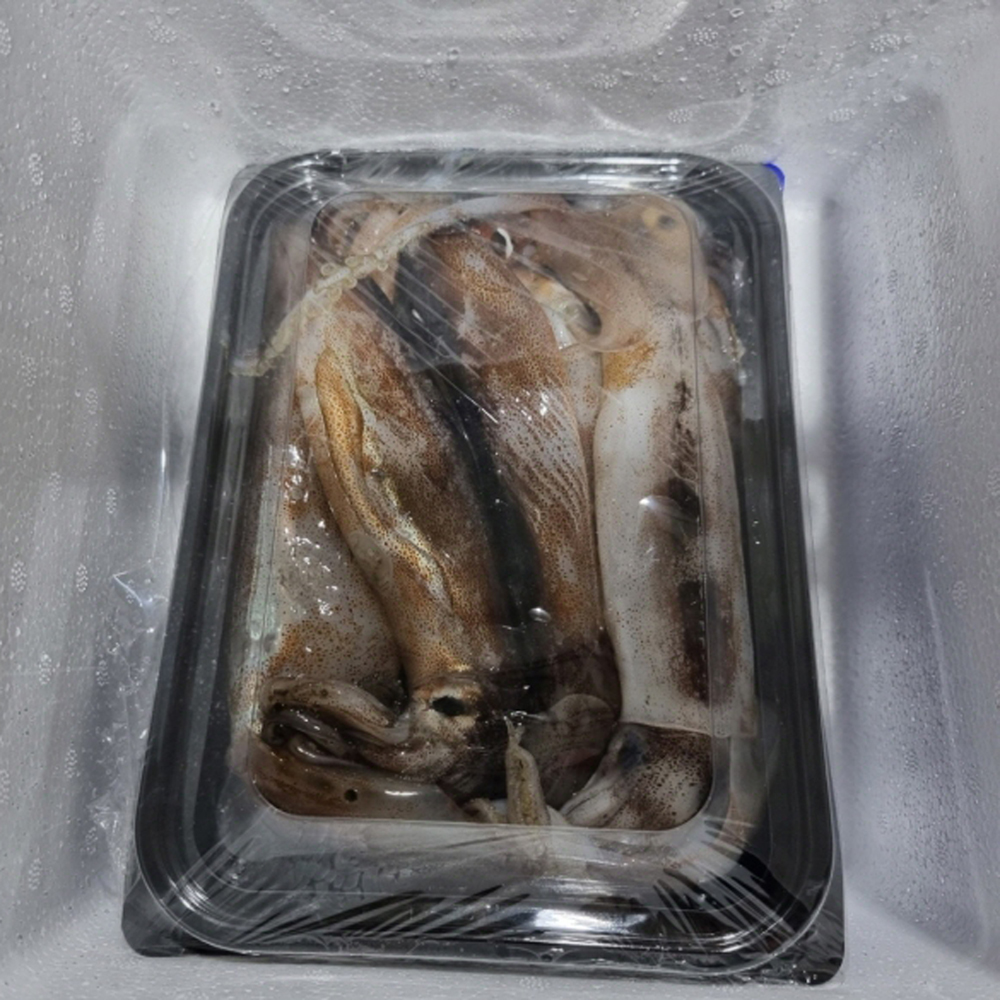 늘초록길목 동해 선상냉동 활 생물 횟감 통찜 산오징어 1kg 6-10미 - 상세 이미지 5