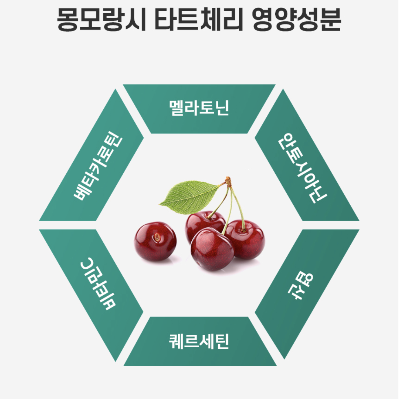 트립토판 식물성메라토닌 3MG 타트체리 멜라토닌 30g - 상세 이미지 4