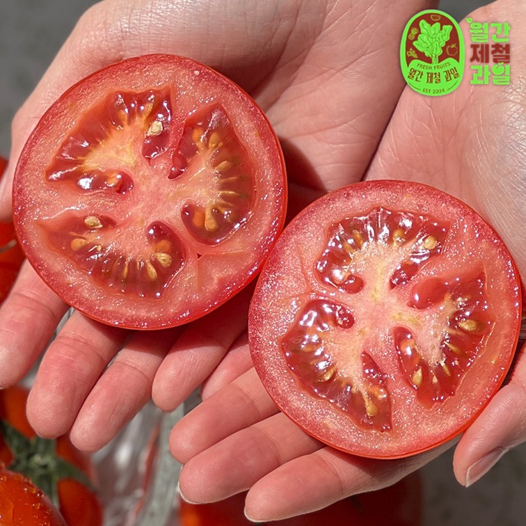 완숙토마토 특품 스테비아 방울토마토 제철 유럽종 주스용 토마토 5키로