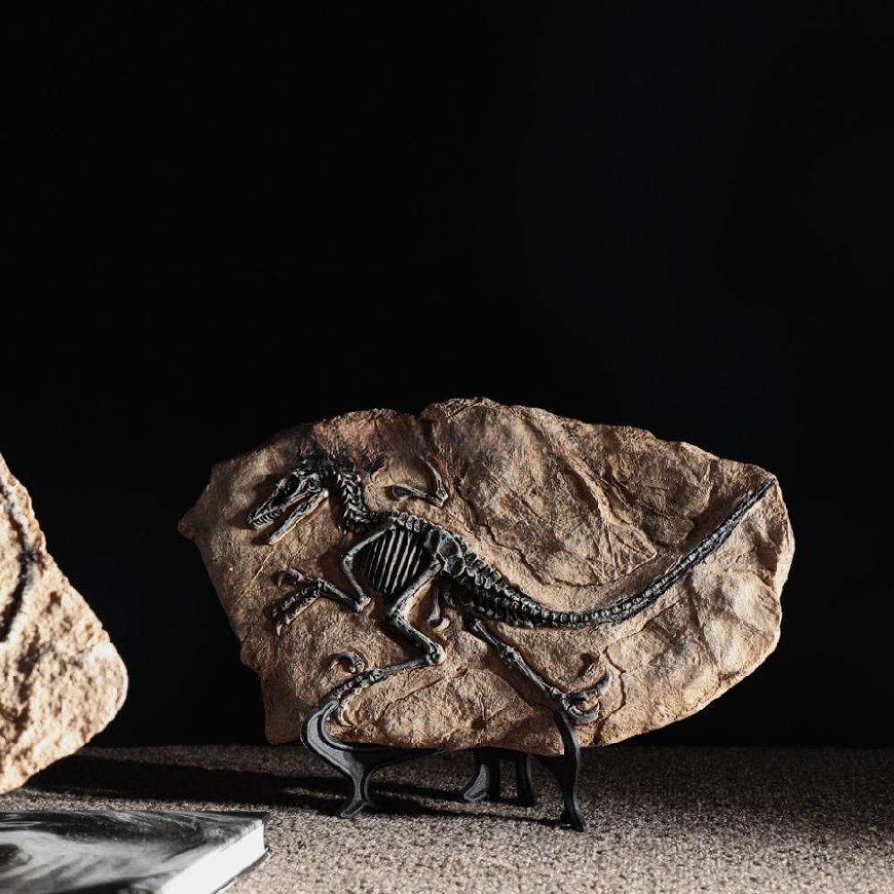 공룡화석모형 장식 카페 오피스 인테리어 미니어처 소품 A / 티라노사우루스 - 상세 이미지 2