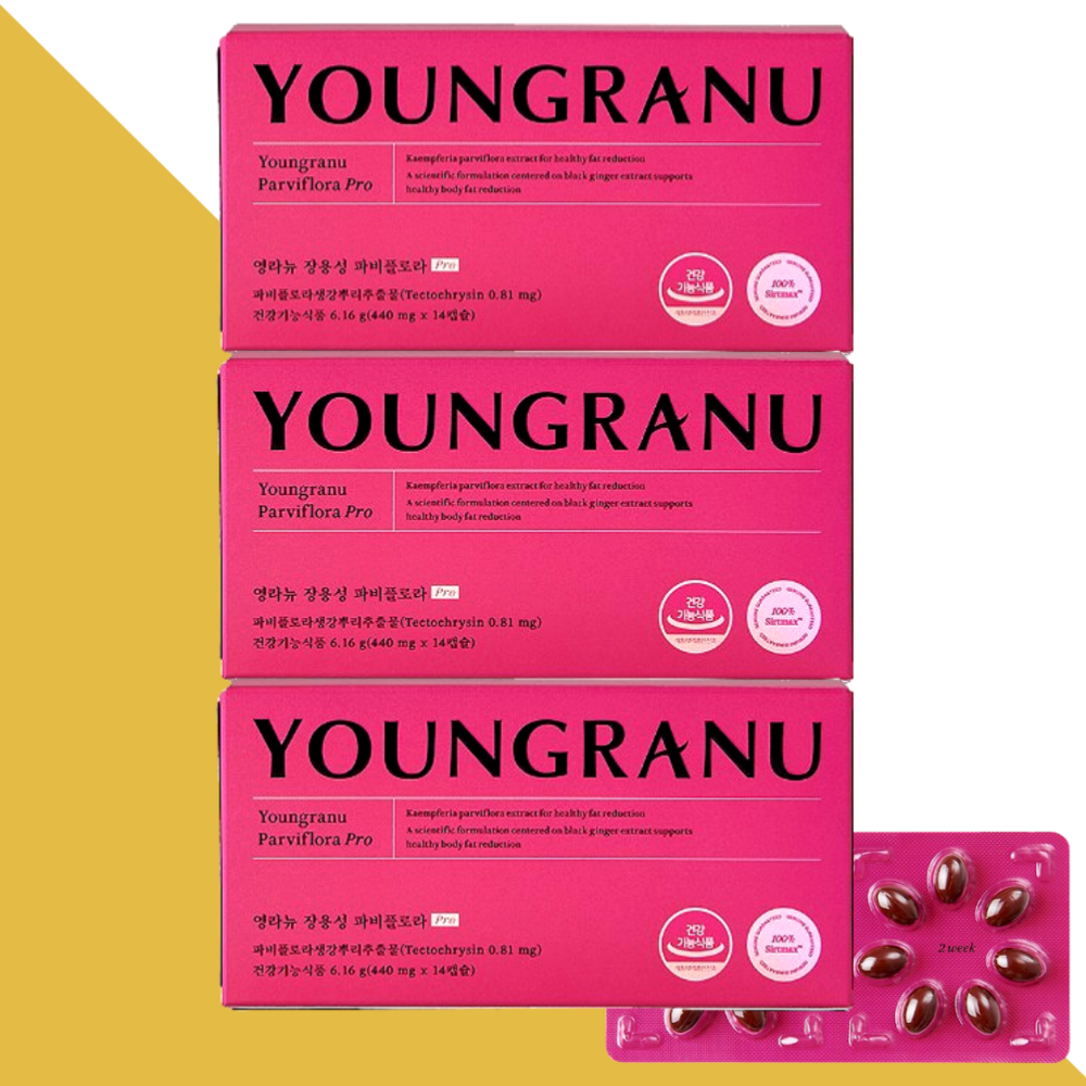 영라뉴 파비플로라 파피플로라 PRO 14캡슐X3박스