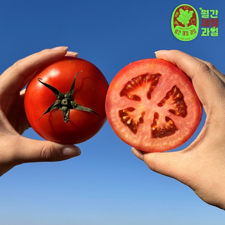 대저 토마토 흑대추 토마토 스테비아 방울토마토 완숙 대추토마토 대추토마토 구매팁