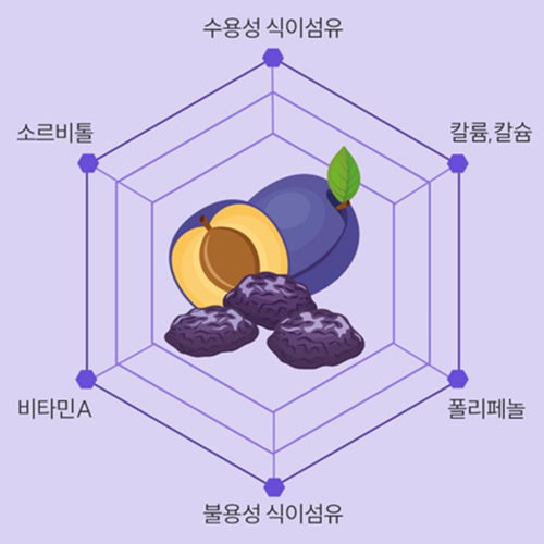고이담은 푸룬 착즙 주스 70ml 30포 3박스 건자두 prune juice 쥬스 효능 - 상세 이미지 3