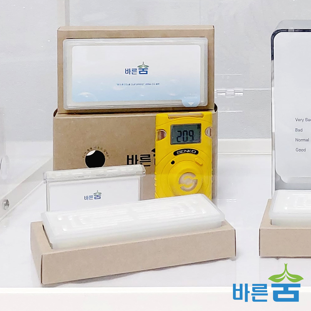 바른숨 산소블럭 미니 휴대용 차량용 산소발생기 독서실 회의실 산소발생장치 공기 정화 청정기