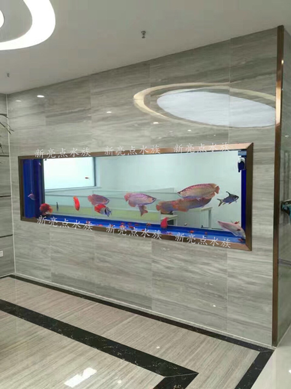 맞춤형 벽걸이 수족관 어항 (내장여과기) - 크기/색상 선택 : 빙상스토어