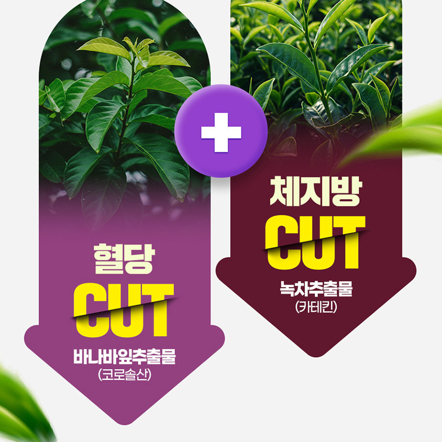 혈당컷 체지방 다이어트 녹차 바나바잎 추출물 카테킨 코로솔산 체지방감소 도움 60정 1박스 - 상세 이미지 4