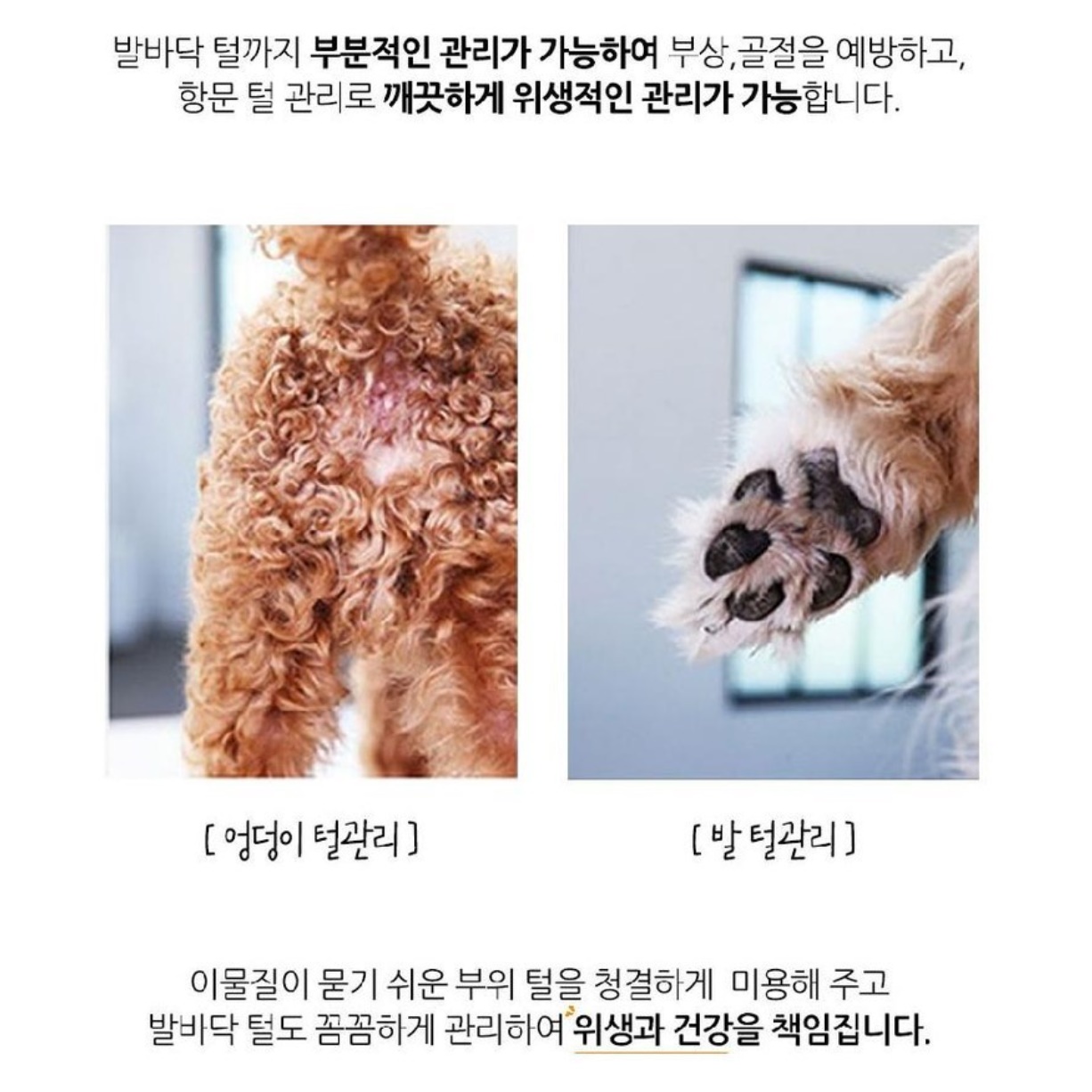 전문가용 강아지 진공 미용기 강아지 미용 기계 강아지 털 깎기 - 상세 이미지 2