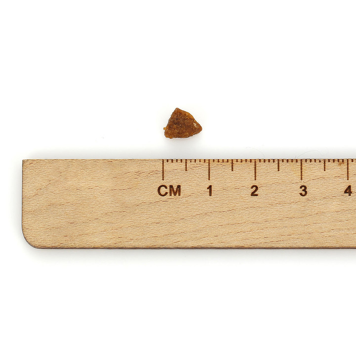 로얄캐닌 엑스스몰 초소형견 1세미만 어린강아지용 사료 XS퍼피, 1.5kg, 1개 - 상세 이미지 4