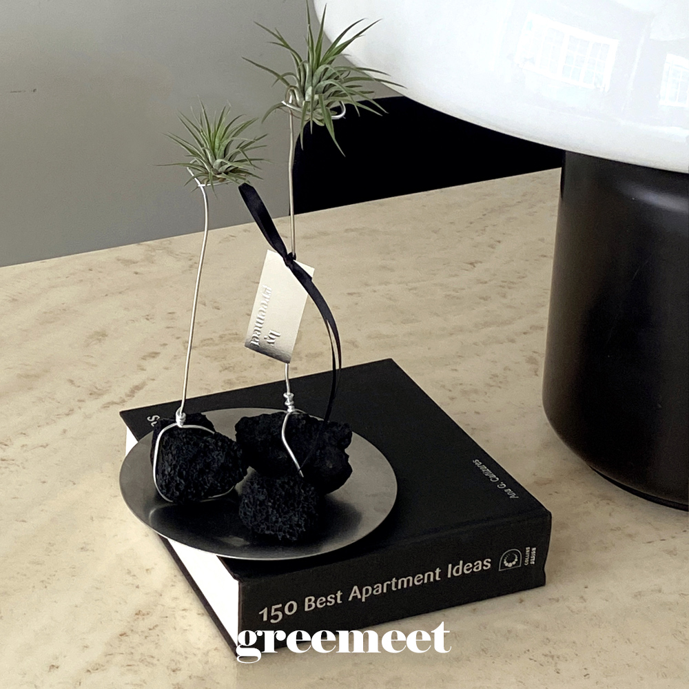 그리밋 틸란드시아 이오난사 미니 화분 책상 탁상 실내공기정화 반려식물 오브제