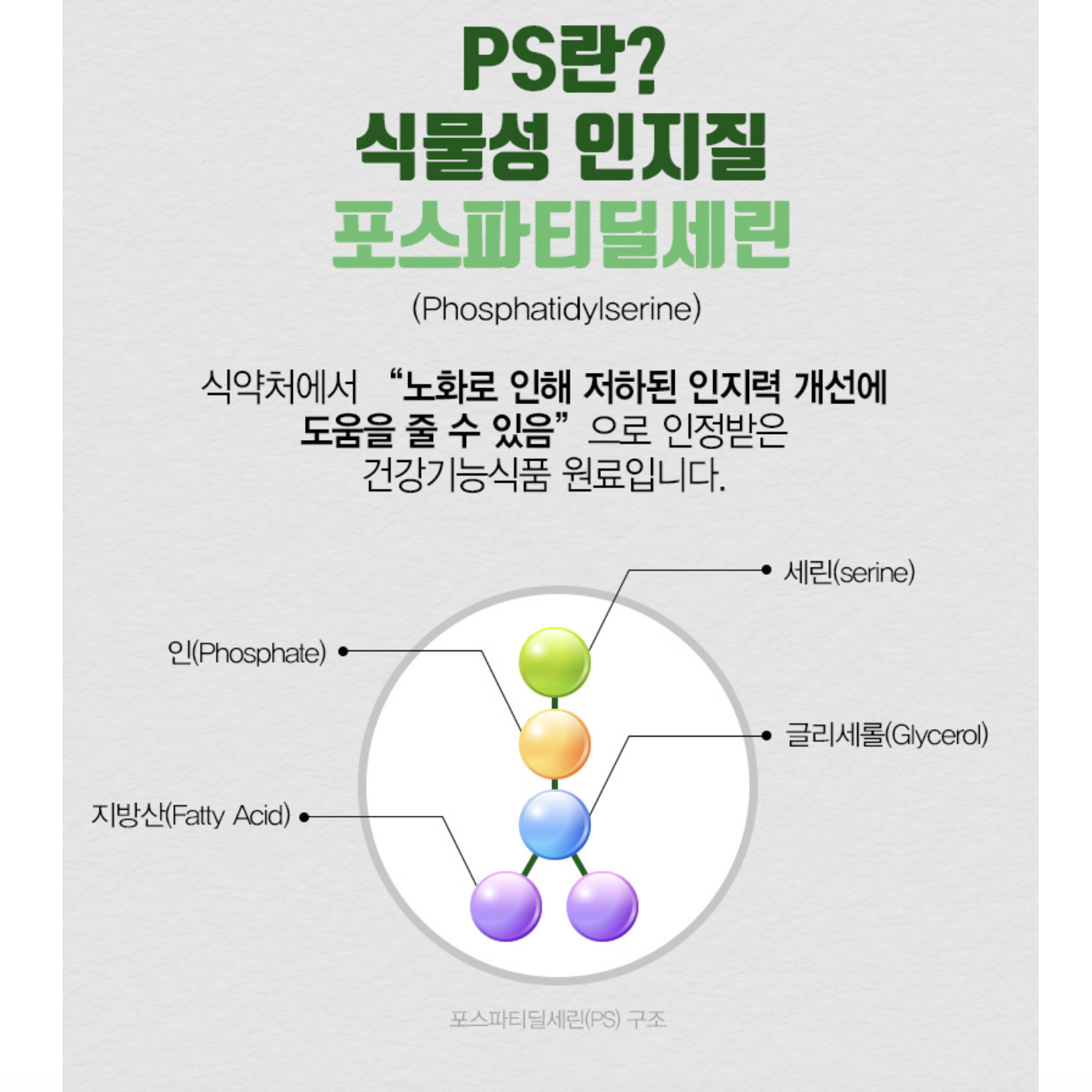 포스파티딜세린 PS 포스파디딜세린 포스타딜세린 포스티딜세린 60캡슐 - 상세 이미지 3