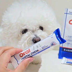 페노비스 강아지 껌 덴탈츄 치석제거 오랄벳 덴탈츄 중소형견, 240g, ... 솔직 후기 | 실제 사용자 리뷰 총정리 - 상품 이미지 2