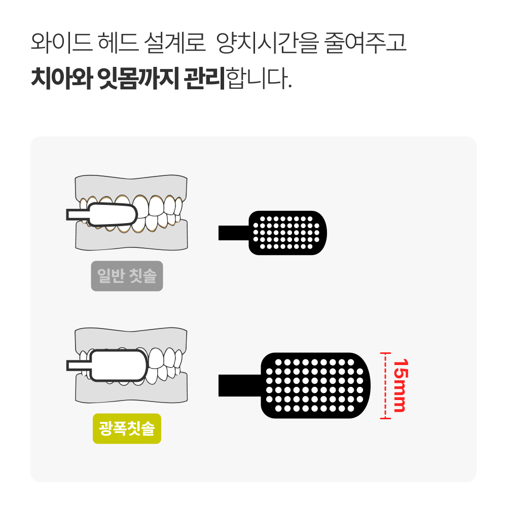 덴티넘 광폭칫솔 이중미세모 와이드 6열 광폭헤드 12개입 - 상세 이미지 5