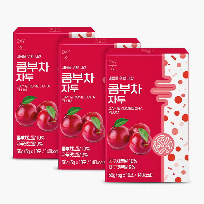 [3+1] 참앤들황토농원 데이앤 콤부차 자두맛 5g 자두, 10개입, 3개