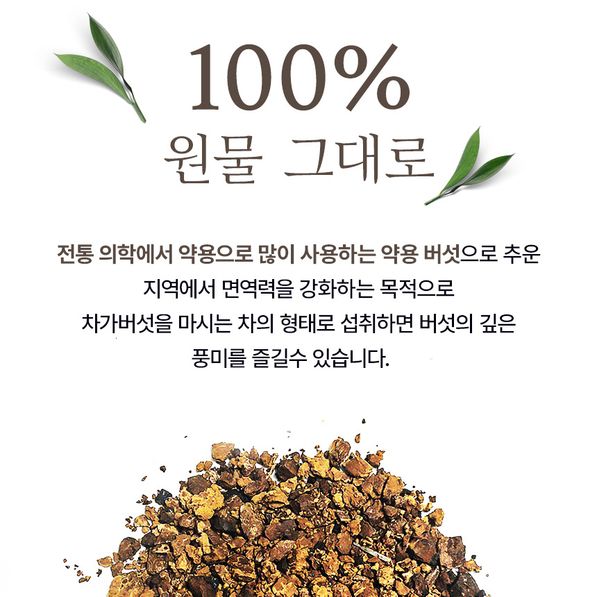 김소형 러시아 건 차가버섯 100% 원물 차 삼각 티백 100티백 - 상세 이미지 5