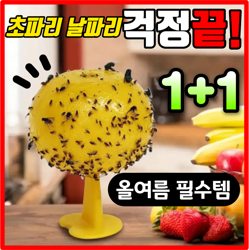 [1+1 초파리 날벌레 지옥] 여름 초파리 해충 퇴치템 끈끈이 트랩