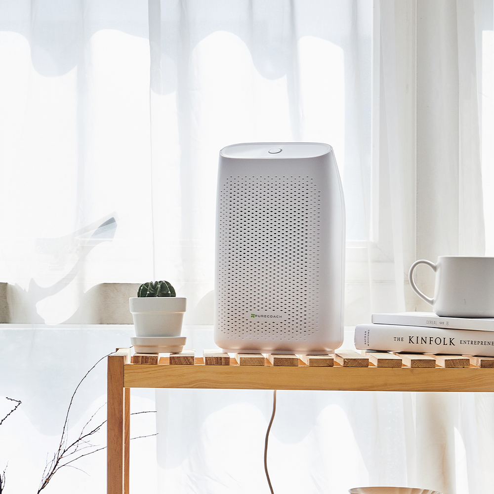 퓨어코치 DH750 저소음 원룸 미니 제습기 자취생 옷방 습기제거 저전력