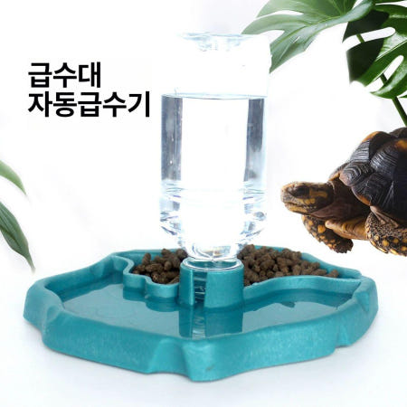 [해외]육지거북이 자동 식수대 사료통 밥그릇 급수기 대용량 호수블루