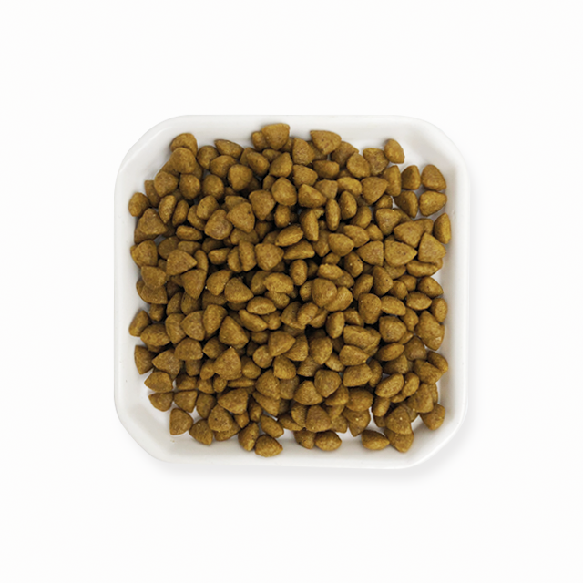 로얄캐닌 엑스스몰 초소형견 1세미만 어린강아지용 사료 XS퍼피, 1.5kg, 1개 - 상세 이미지 3