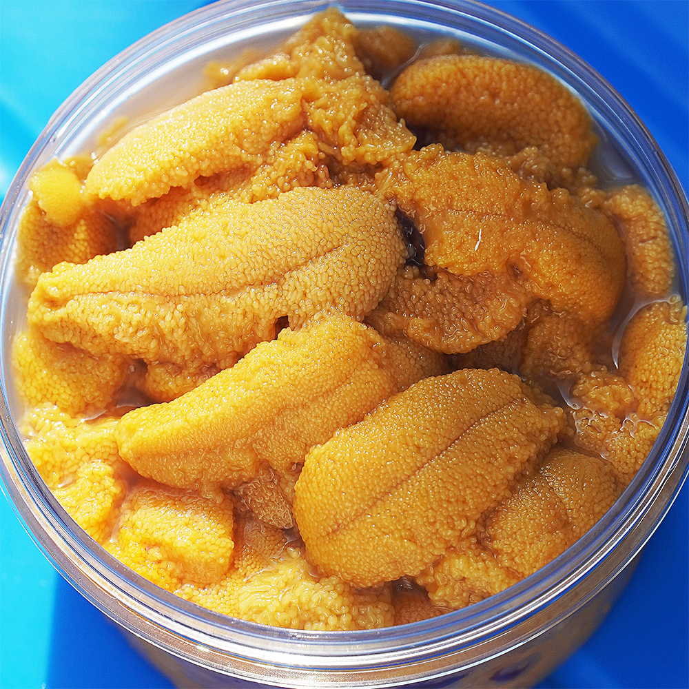 동해안총각 우니, 보라성게, 고성 성게알, 신선한 우니, 맛있는 우니 후기