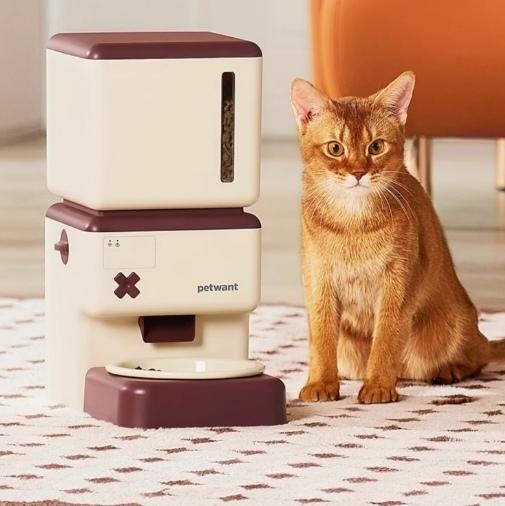 petwant 자동급식기 강아지 고양이 펫식기 밥그릇 애견 급여기 스마트 피더 - 상품 이미지