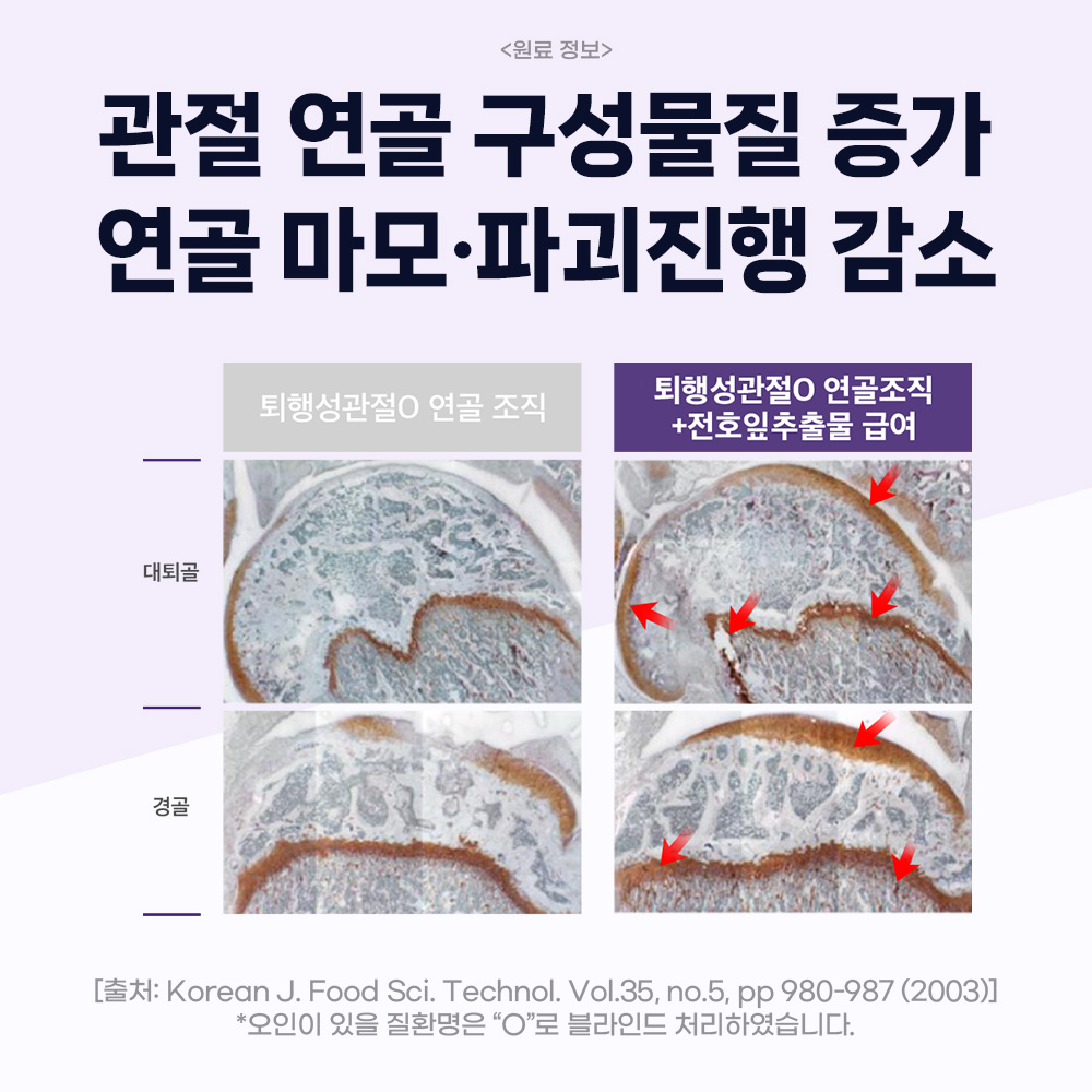 닥터바이 강아지 관절 영양제 슬개골 탈구 무릎 고관절 케어 절뚝거림 조인트, 70정, 1개