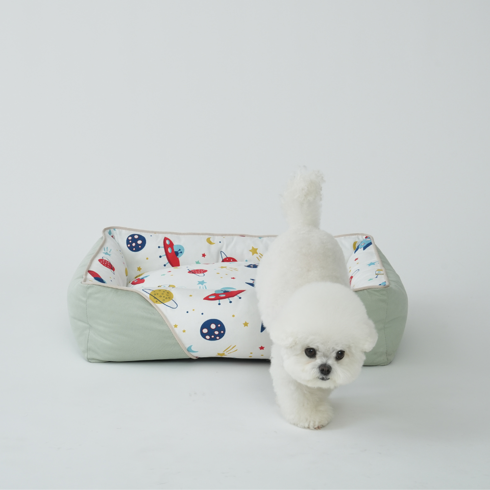 강아지 방석 고양이 쿠션 애견 여름 꿀잠 마약 반려견 펫 방석 카툰 M 펫앤마마