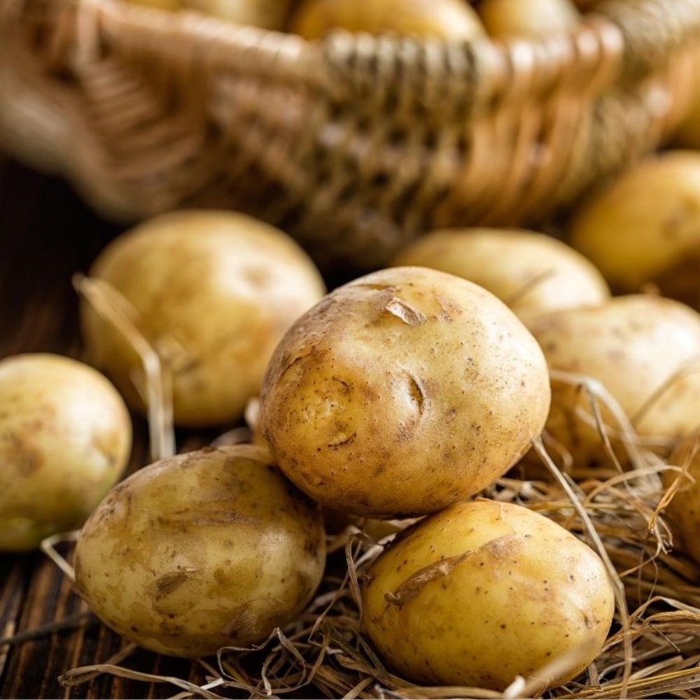 강원도햇감자 수미 하지감자 한박스 쪄먹는 포슬 분감자 2025년감자 중, 3kg, 1개