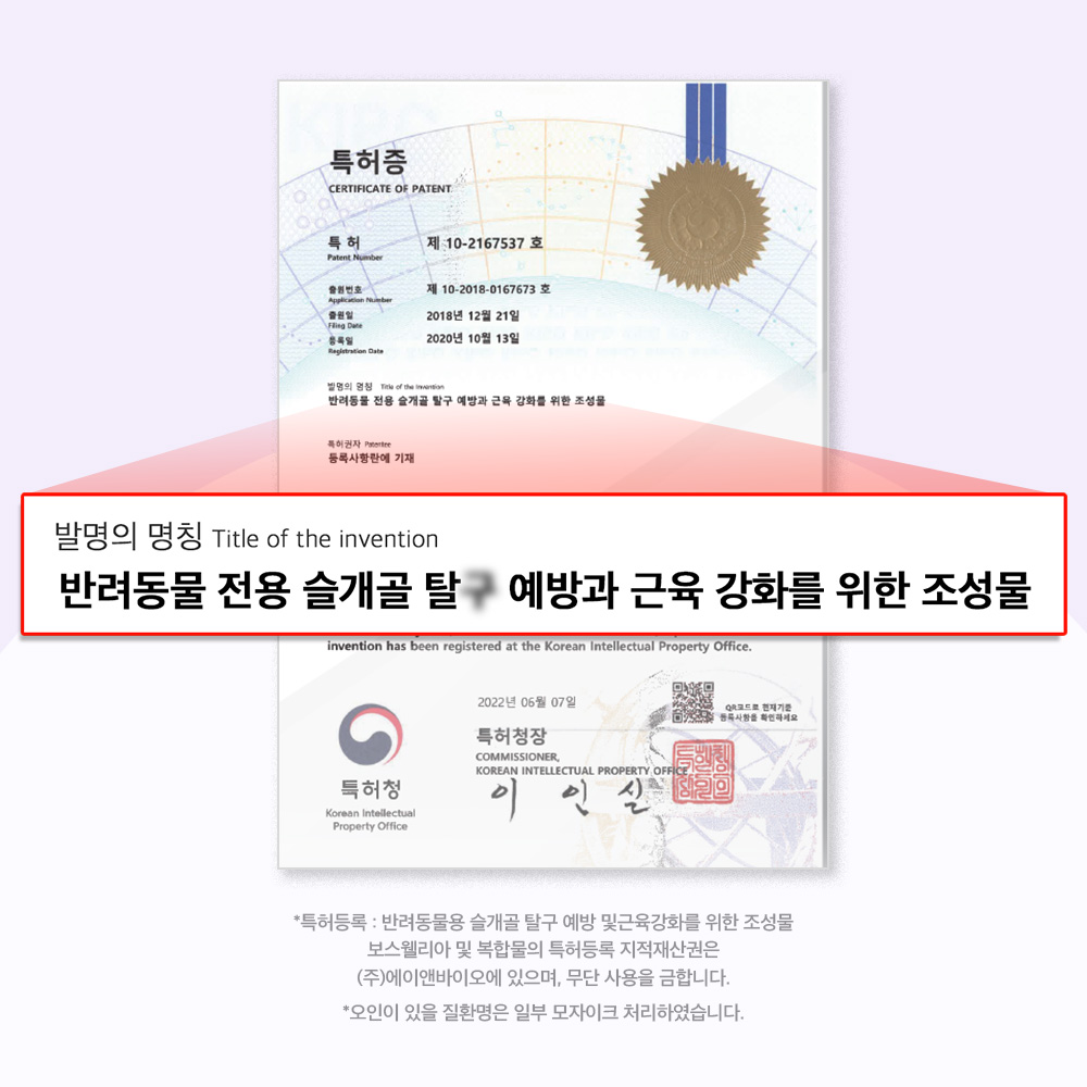 닥터바이 강아지 관절 영양제 슬개골 탈구 무릎 고관절 케어 절뚝거림 조인트, 70정, 1개