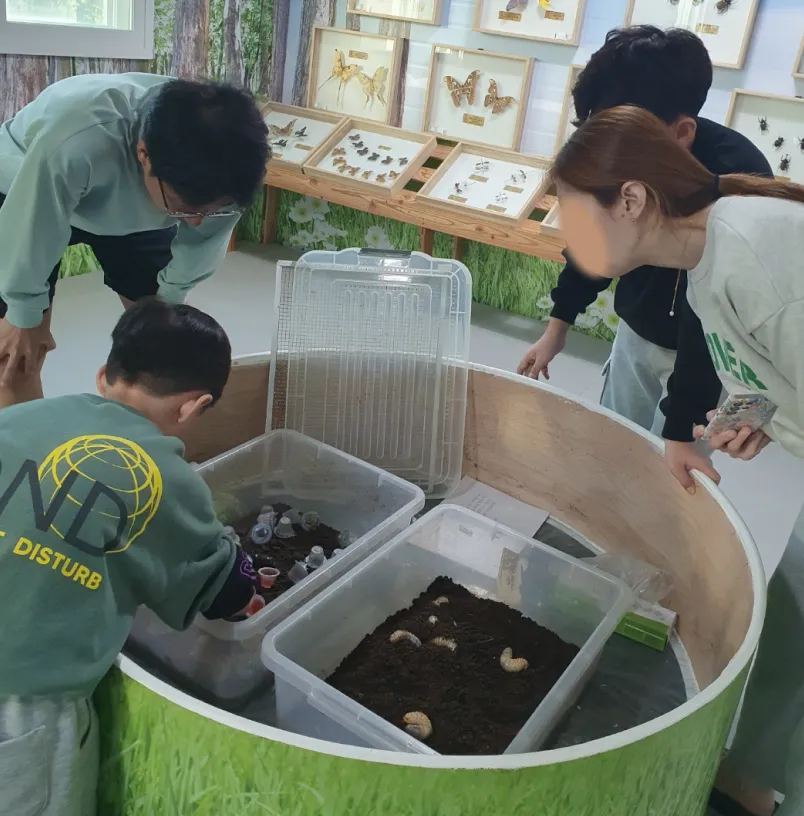 [꿀벌 농장체험] 어린이 동물 농장 숲 농촌 체험 경기 여주 유아 어린이 가족체험학습 by 여주자연팜