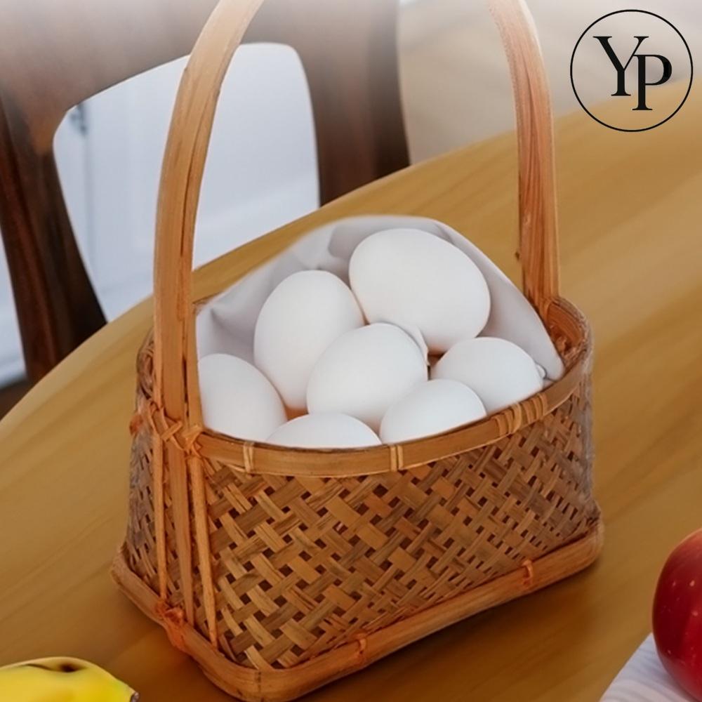 피크닉 라탄 바구니 손잡이 수납 소품 정리 화분 바스켓 장식