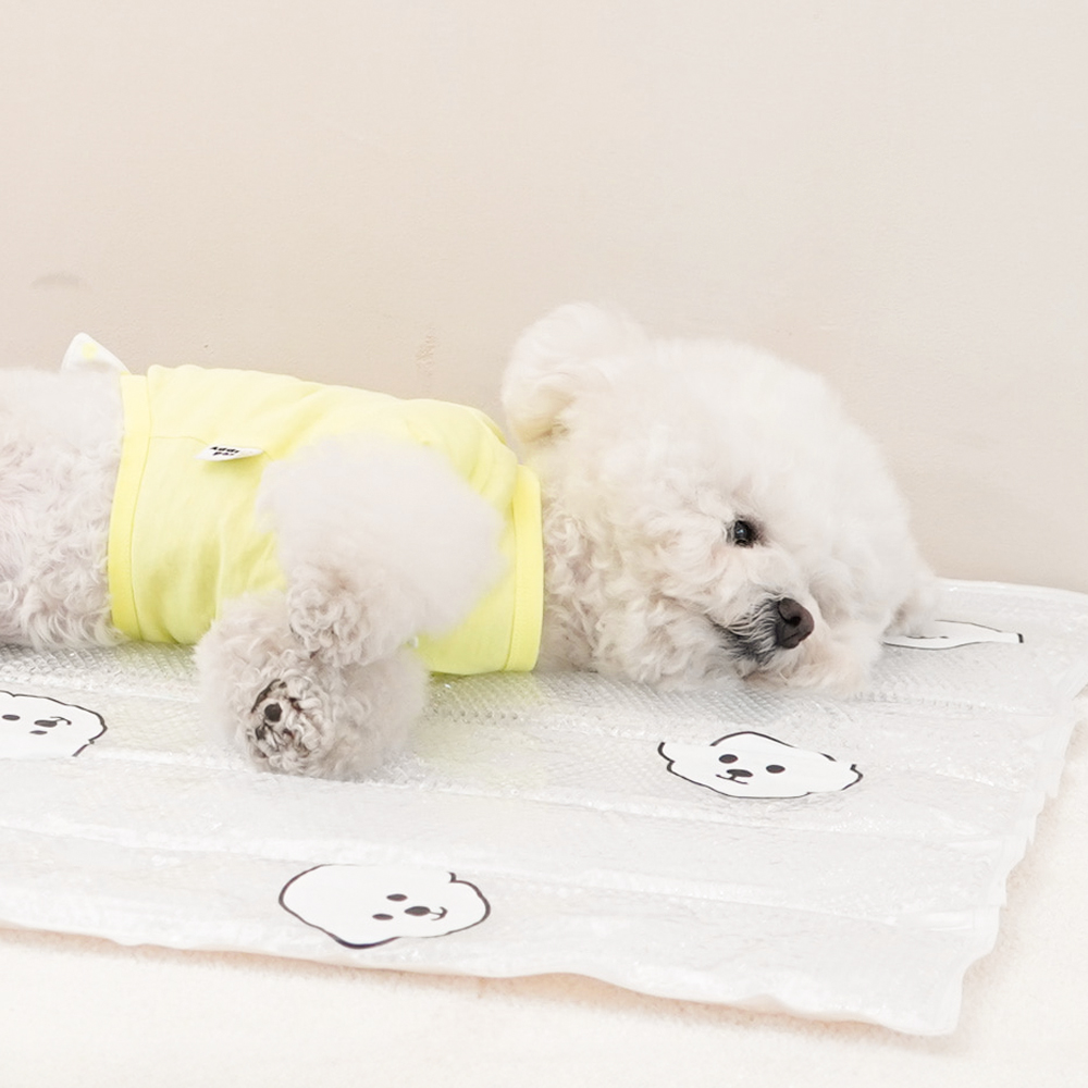 개과천선 스노엘 강아지 쿨 매트 강아지 방석 애견 침대 쿨 방석 반려견 쿠션 고양이 쿠션 이미지 6