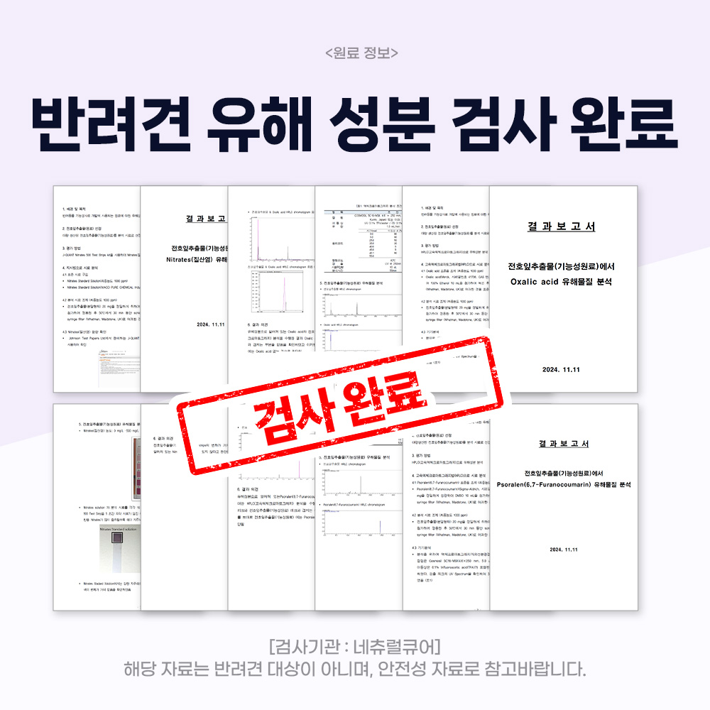 닥터바이 강아지 관절 영양제 슬개골 탈구 무릎 고관절 케어 절뚝거림 조인트, 70정, 1개
