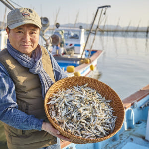 최상품 남해 저염 햇 죽방멸치 250g+250g 중멸치 대멸치 안주 조림... 맛있게 먹은 솔직 후기 - 상품 이미지 4