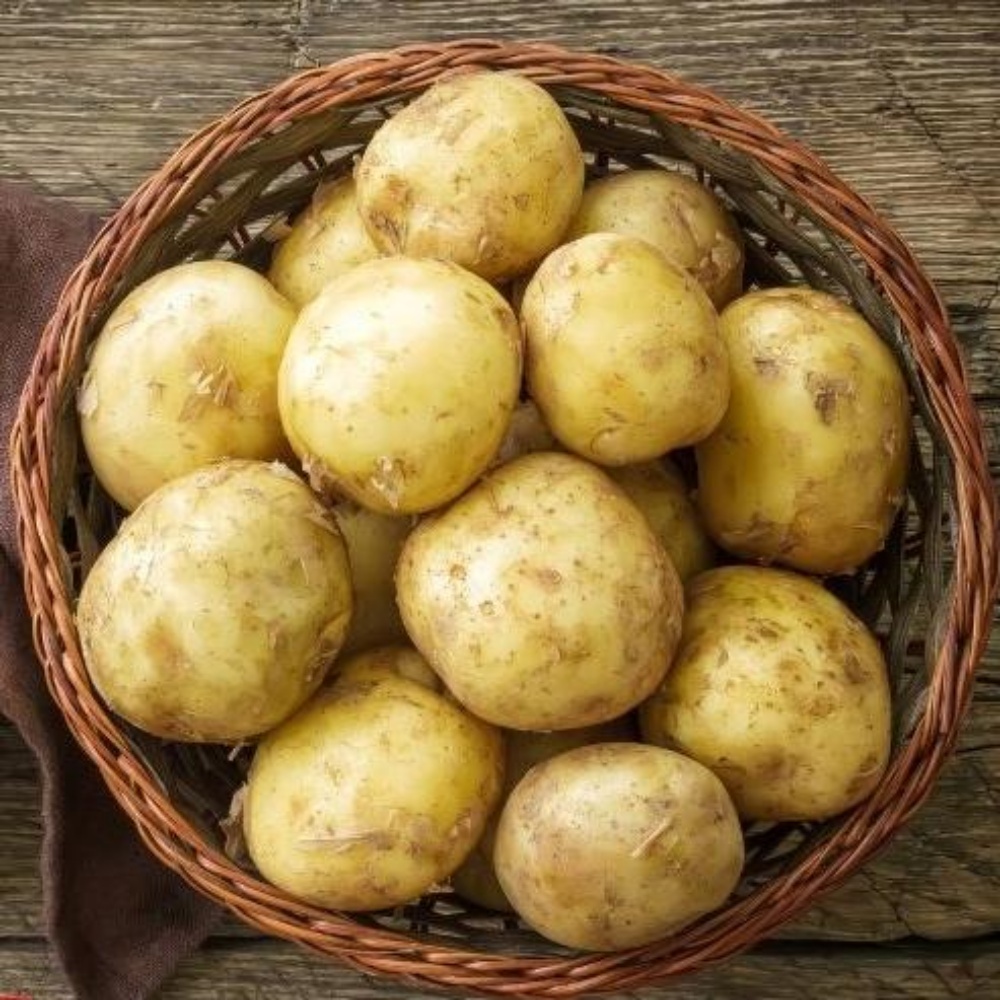 강원도햇감자 수미 하지감자 한박스 쪄먹는 포슬 분감자 2025년감자 왕특, 3kg, 1개