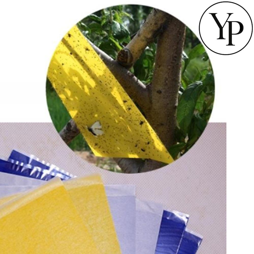 모기 파리 트랩 날파리 초파리 끈끈이 스티키 큰사이즈 10개