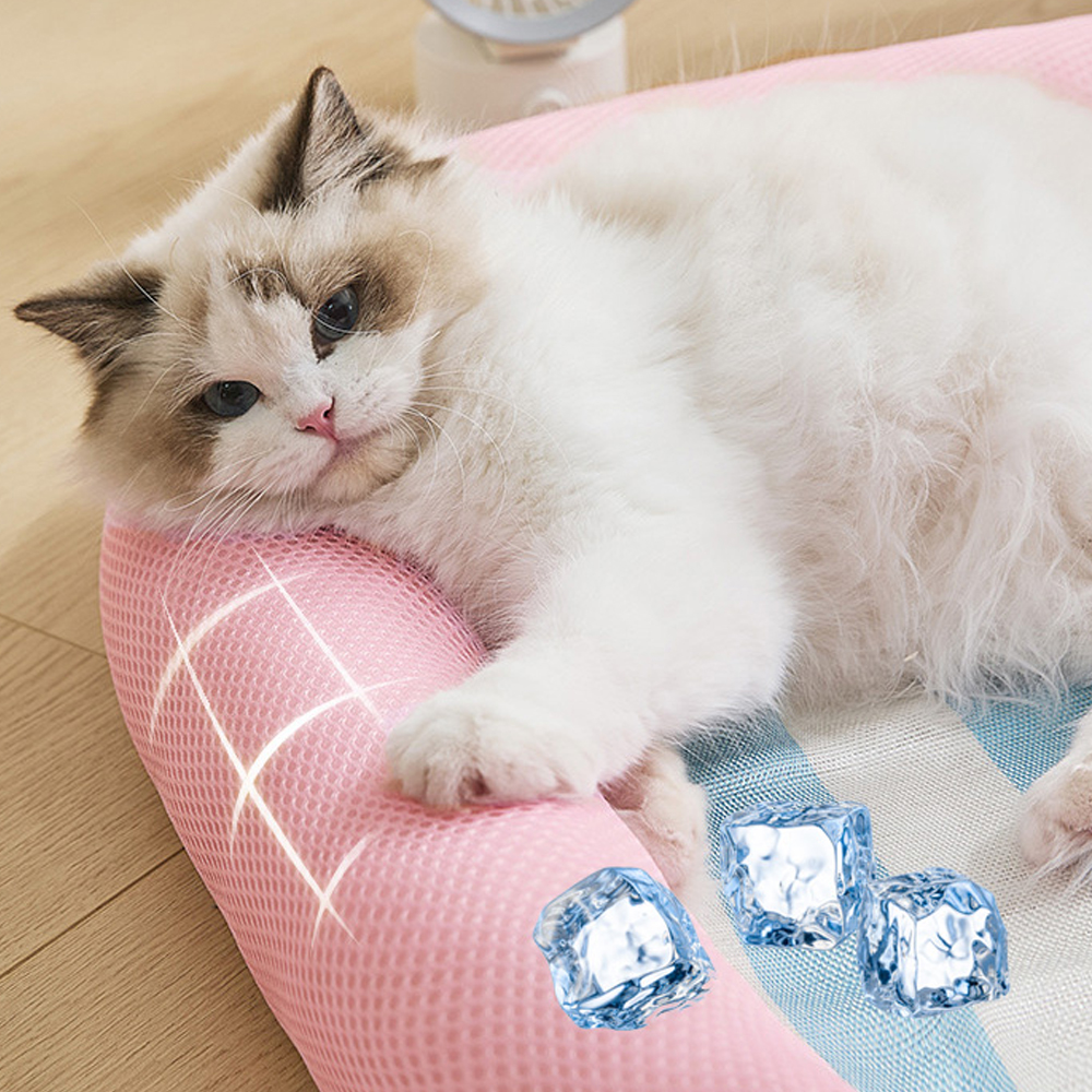 개과천선 투니 고양이 쿨 방석 강아지 여름 쿠션 쿨 매트 애견 침대 강아지 방석 반려묘 - 상세 이미지 4