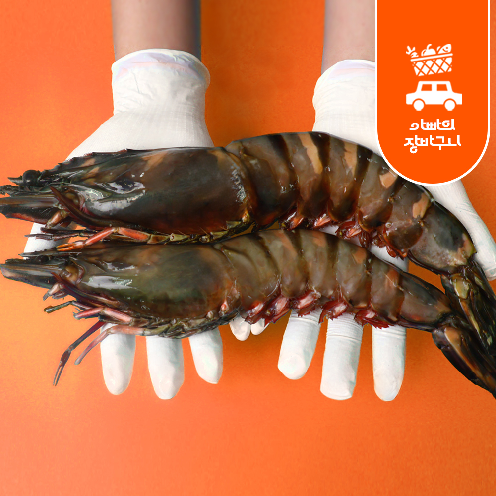 킹타이거새우 1kg 블랙타이거 자연산 대왕새우
