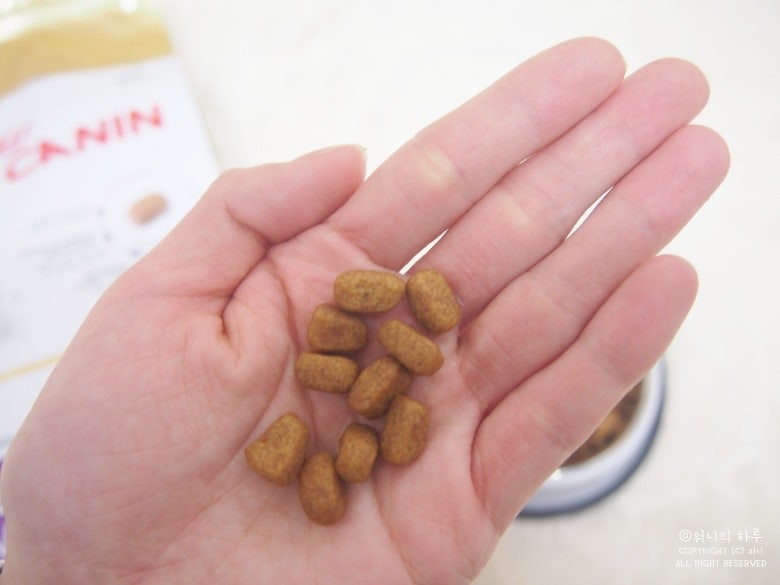 로얄캐닌 독 말티즈 어덜트1.5kg - 상세 이미지 2