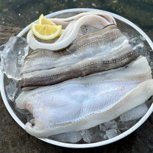 통영 자연산 손질 바다장어 대 1kg 손질 후 800g 장어 아나고 붕장... 맛있게 먹은 솔직 후기 - 상품 이미지 4