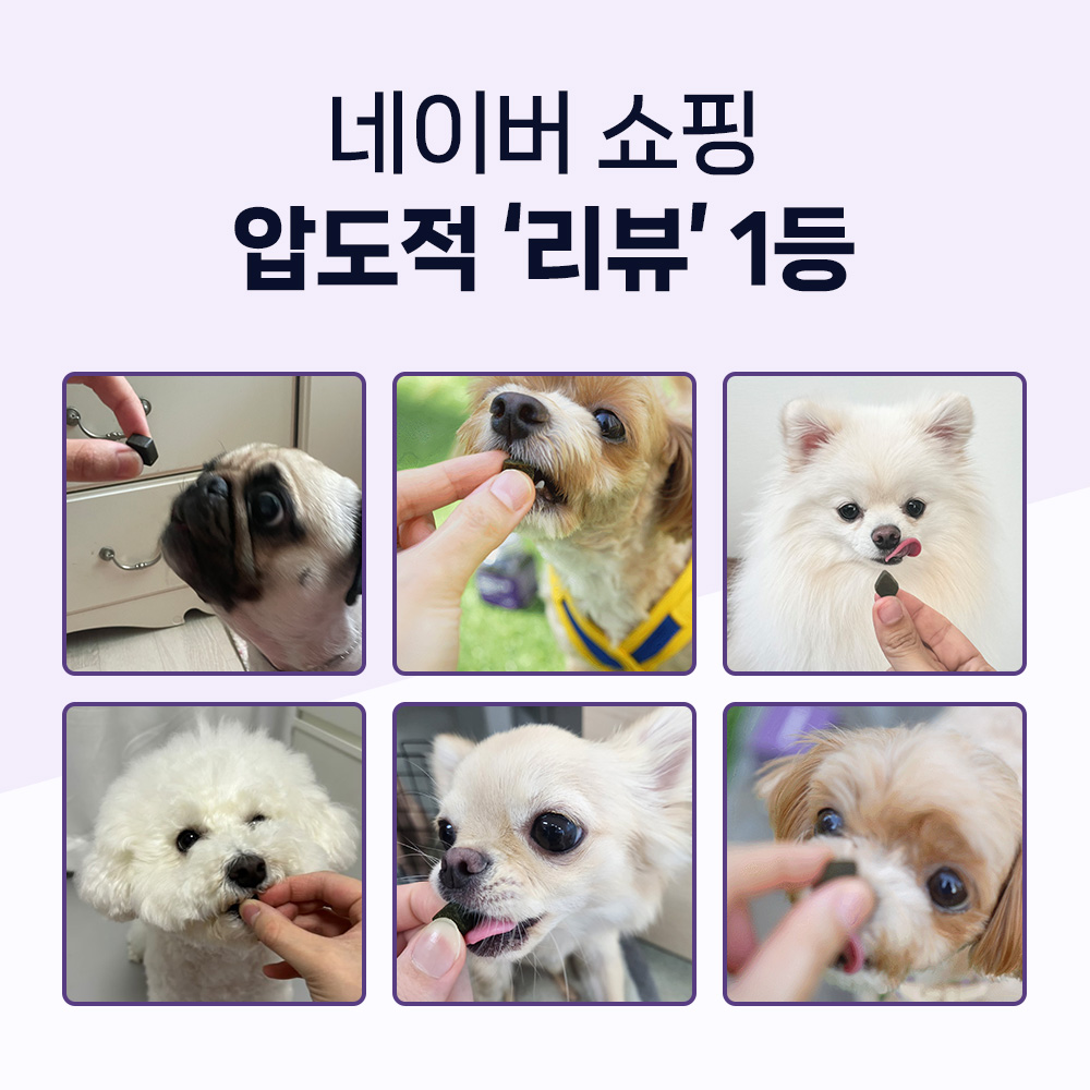 닥터바이 강아지 관절 영양제 슬개골 탈구 무릎 고관절 케어 절뚝거림 조인트, 70정, 1개