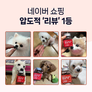 닥터바이 하트업 강아지 심장 영양제 헥헥거림 70개입, 1개 솔직 후기 | 실제 사용자 리뷰 총정리 - 상품 이미지 4