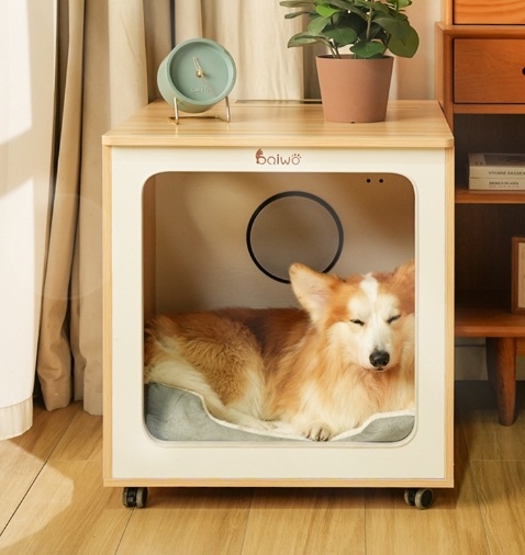 드라이룸 강아지 고양이 애견 중대형견 에어샤워 털말리기 BW12Max 157L - 상품 이미지