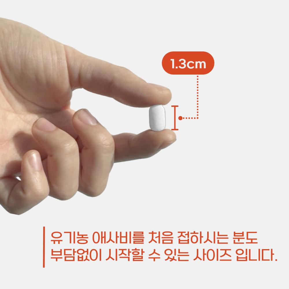 애사비정 이미지 5