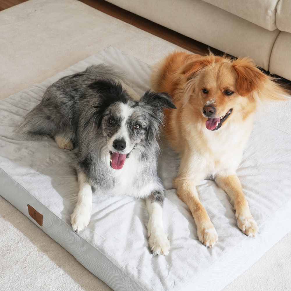 대형견 방석 사각방석 강아지 쿠션 소파 침대 매트 XL 펫앤마마