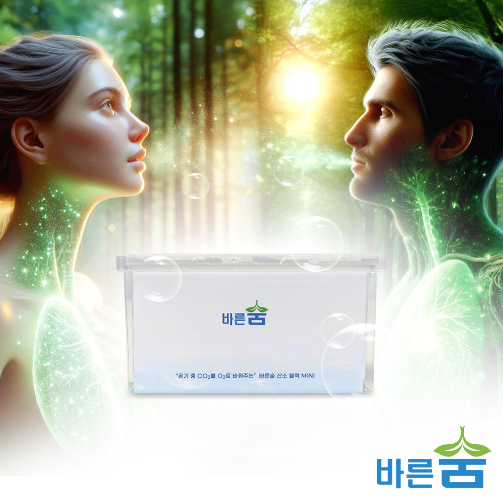 바른숨 산소블럭 미니 휴대용 차량용 산소발생기 독서실 회의실 산소발생장치 공기 정화 청정기