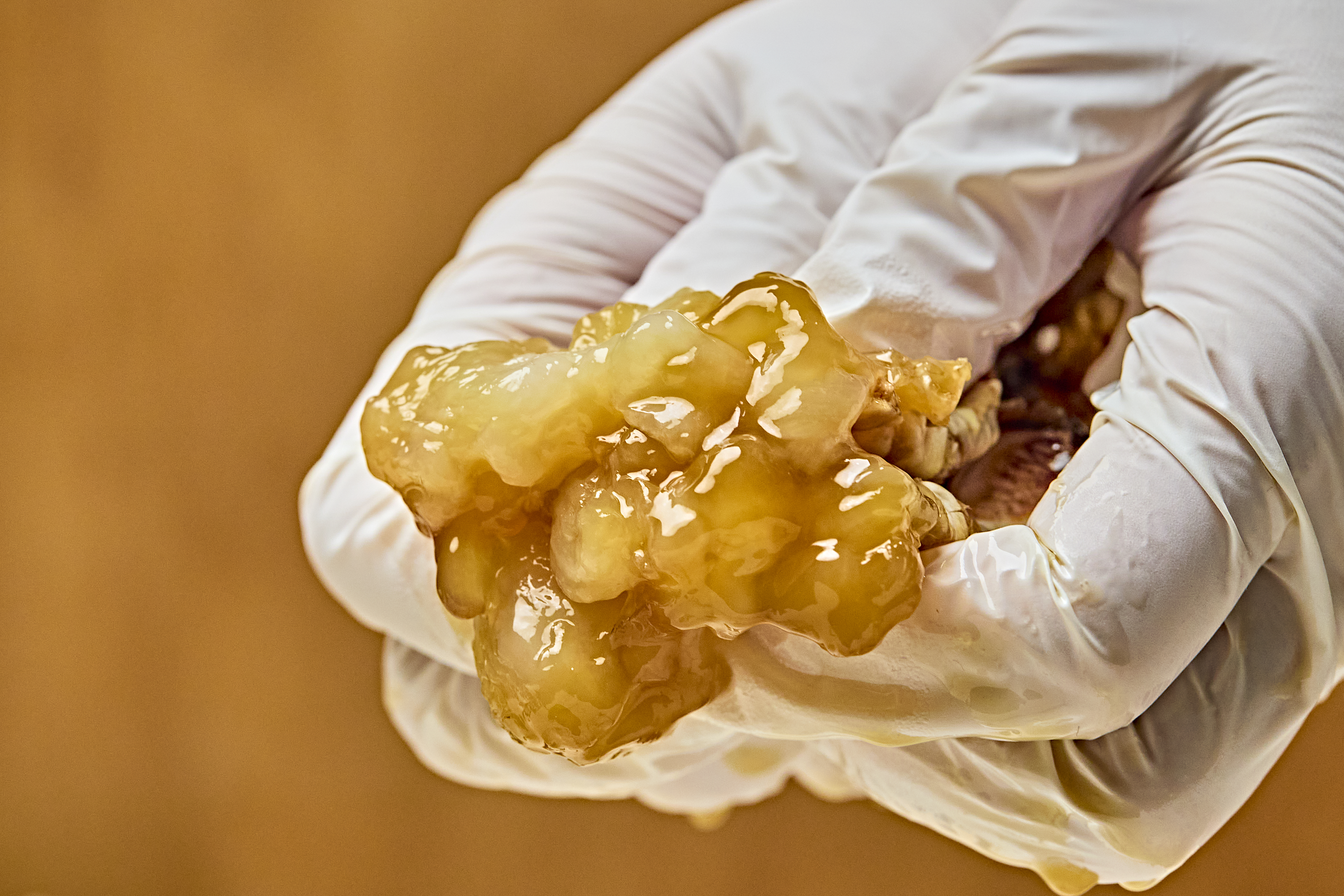 유토피아 프리미엄 금게 간장게장 1.3kg