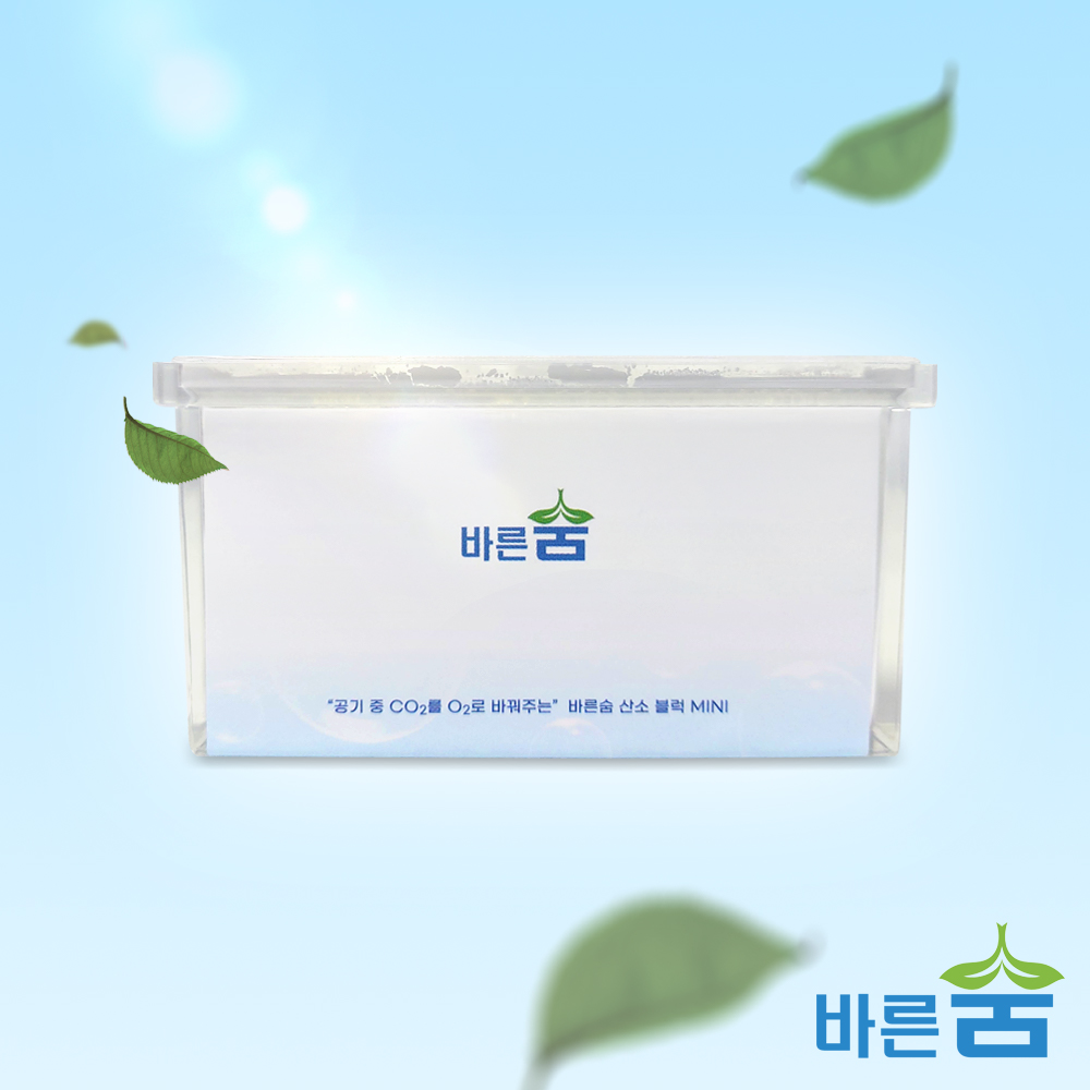 바른숨 산소블럭 미니 휴대용 차량용 산소발생기 독서실 회의실 산소발생장치 공기 정화 청정기